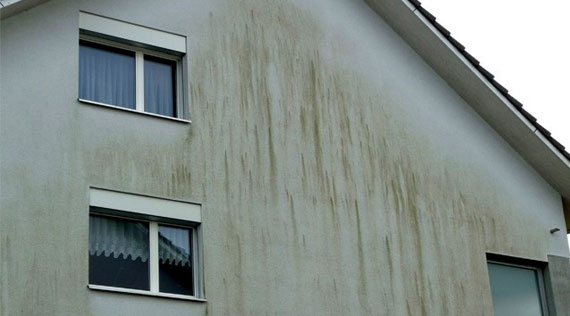 Traces d'humidité dans un mur extérieur